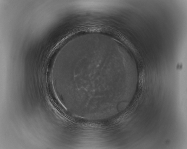 X0000113610722200909251141