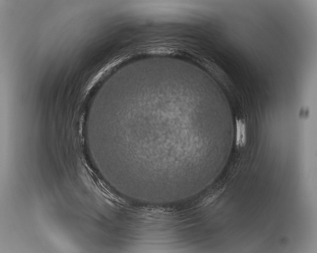 X0000113610723200909251141