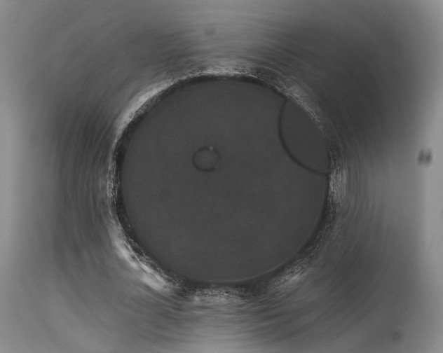 X0000113610724200909251141