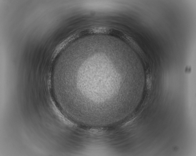 X0000113610725200909251141