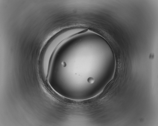 X0000113610726200909251141