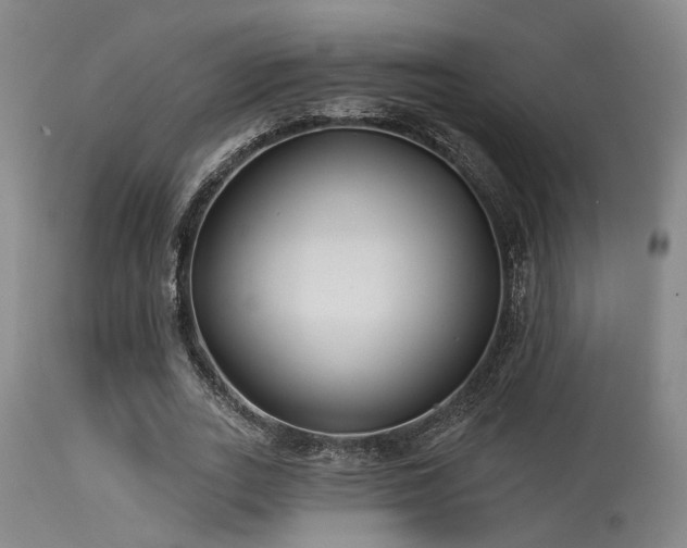 X0000113610727200909251141