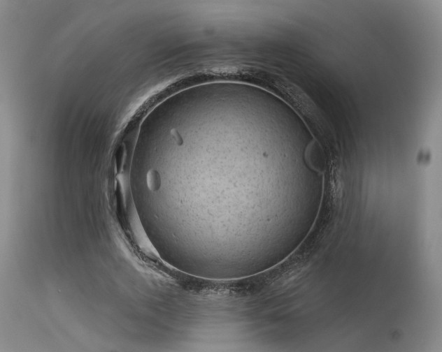 X0000113610728200909251141