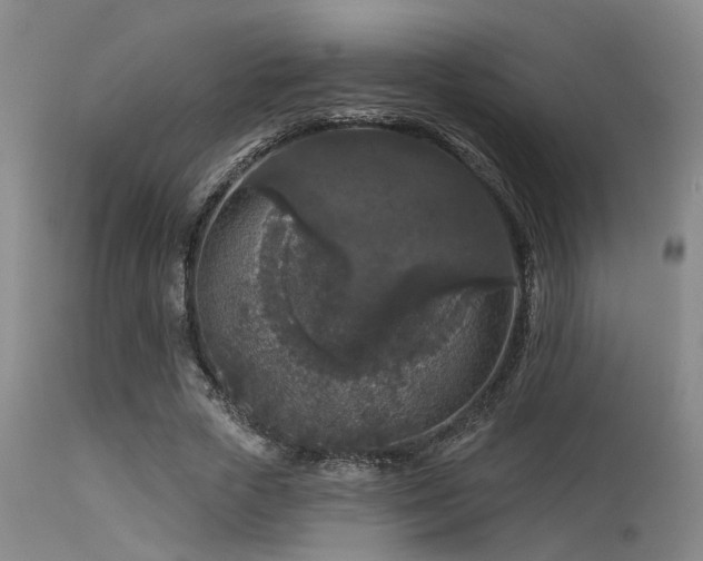 X0000113610729200909251141