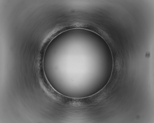 X0000113610730200909251141