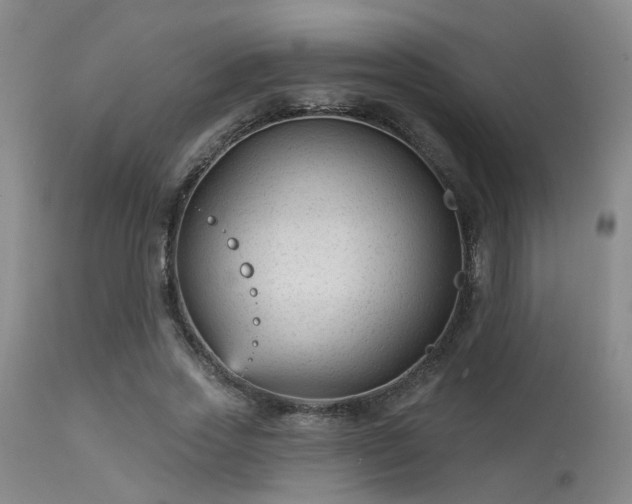 X0000113610733200909251141