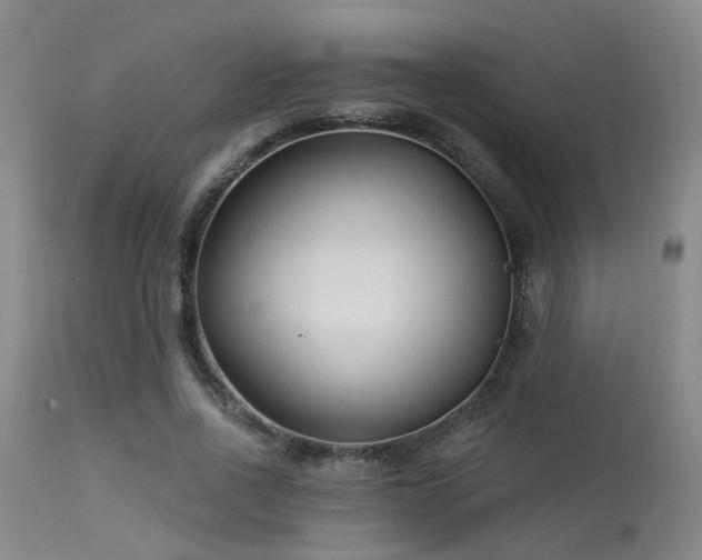 X0000113610734200909251141