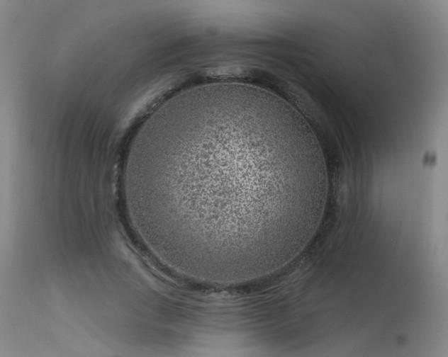 X0000113610735200909251141