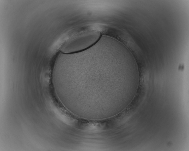 X0000113610736200909251141