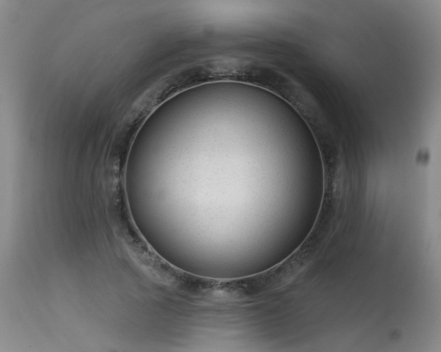 X0000113610737200909251141