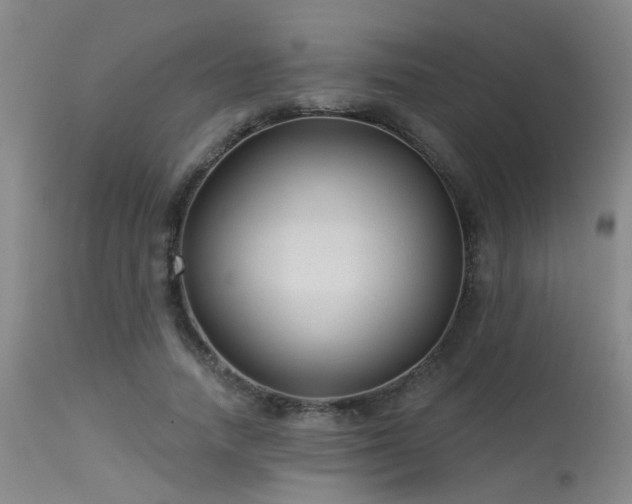 X0000113610738200909251141