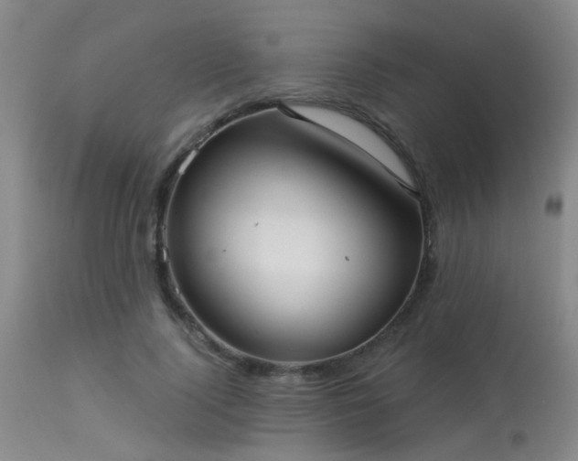 X0000113610740200909251141