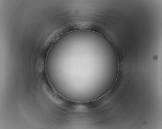 X0000113610741200909251141