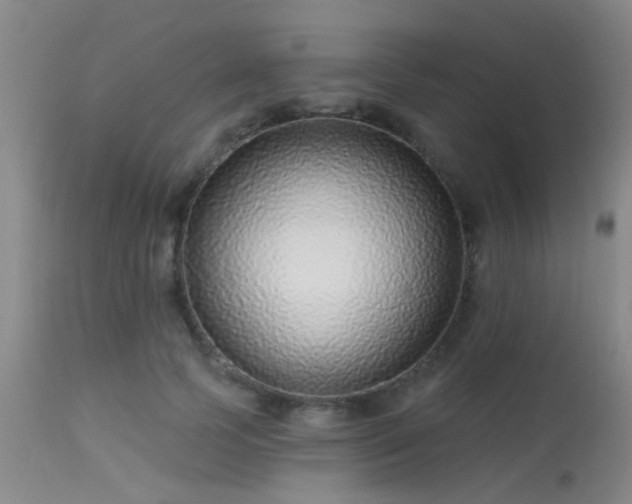 X0000113610745200909251141