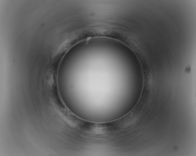 X0000113610746200909251141