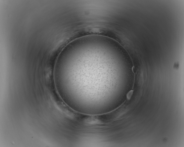 X0000113610747200909251142