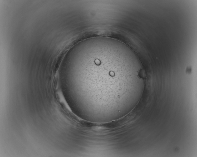 X0000113610748200909251142