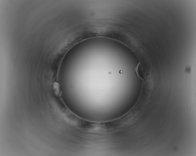 X0000113610750200909251142