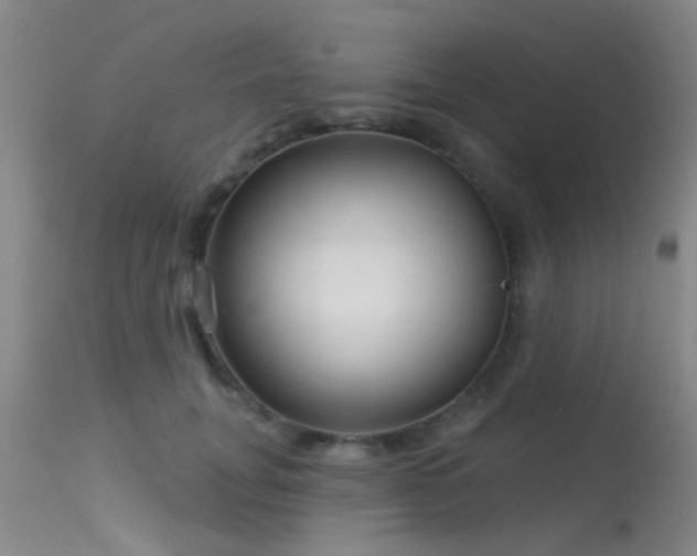 X0000113610751200909251142