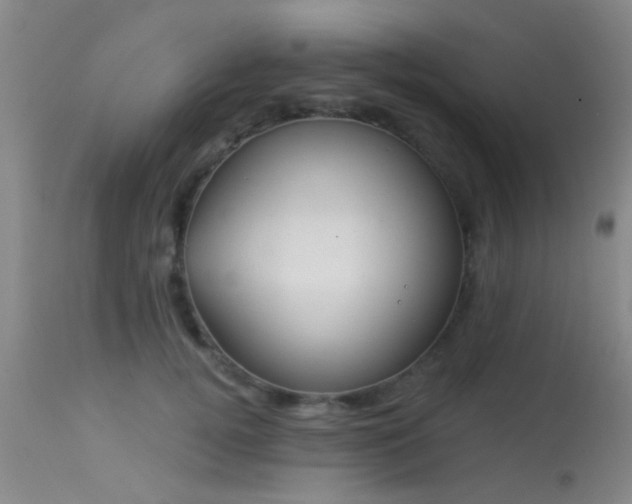 X0000113610752200909251142