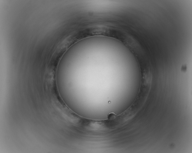 X0000113610753200909251142