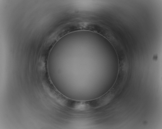 X0000113610754200909251142