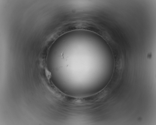 X0000113610755200909251142