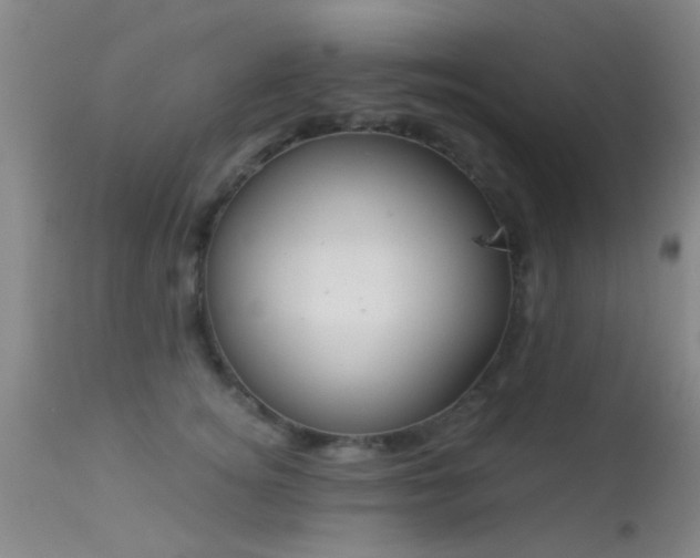 X0000113610756200909251142