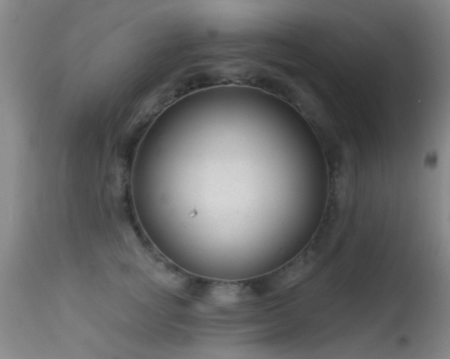 X0000113610757200909251142