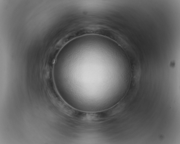 X0000113610758200909251142