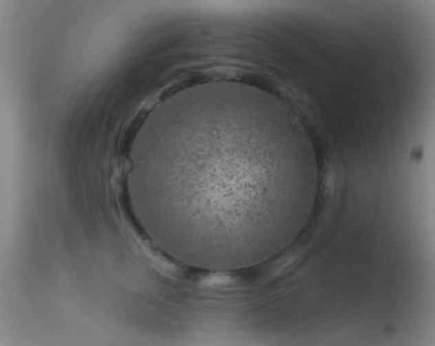 X0000113610759200909251142