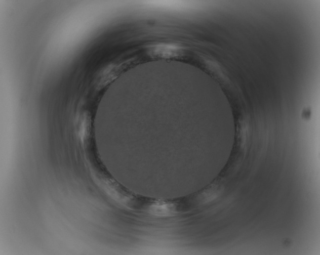 X0000113610760200909251142