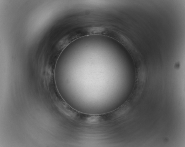 X0000113610761200909251142