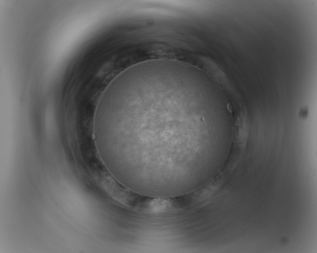 X0000113610762200909251142