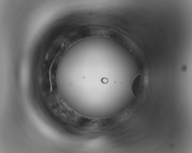 X0000113610764200909251142