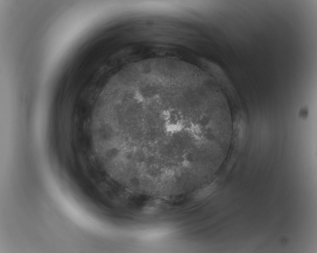 X0000113610765200909251142