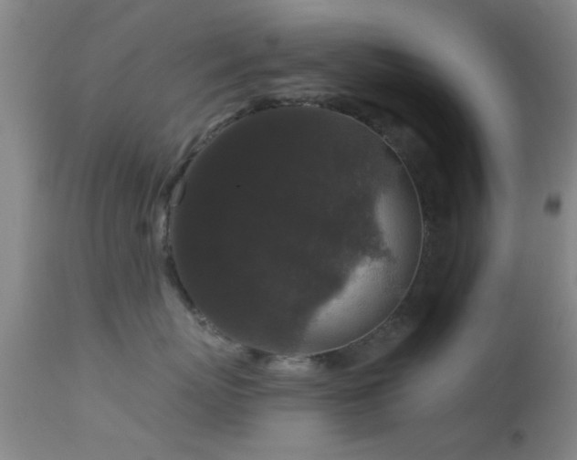 X0000113610767200909251142