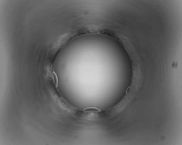 X0000113610768200909251142