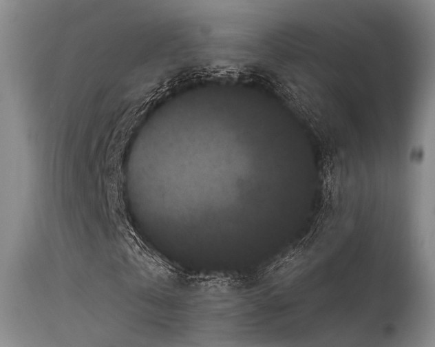 X0000113610769200909251141