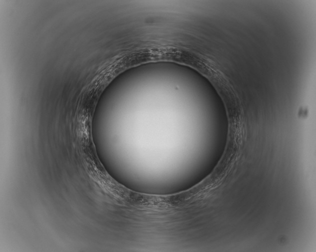 X0000113610770200909251141