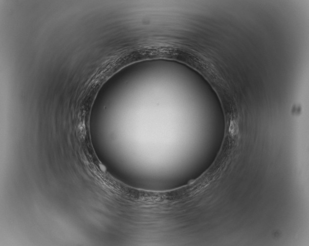 X0000113610771200909251141