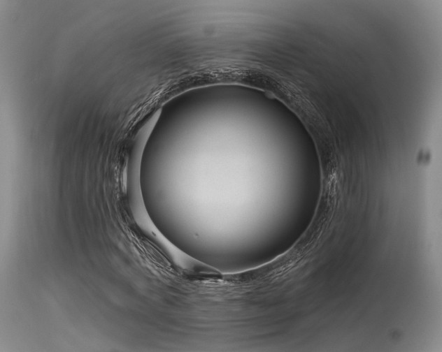 X0000113610772200909251141