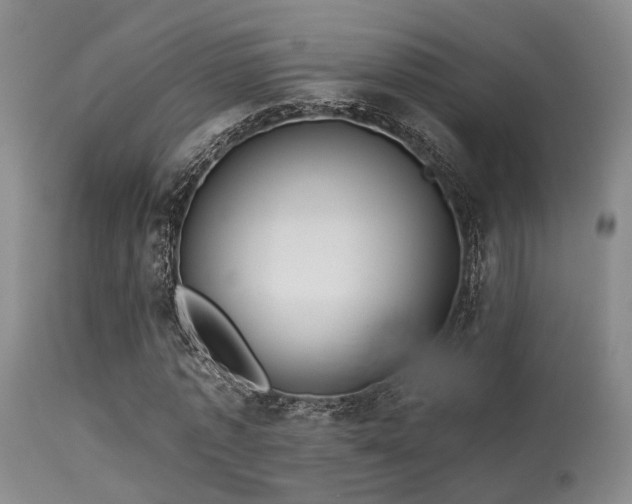 X0000113610773200909251141