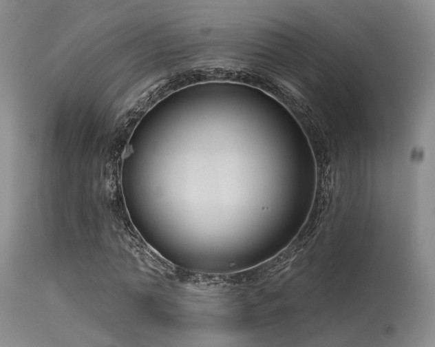 X0000113610774200909251141