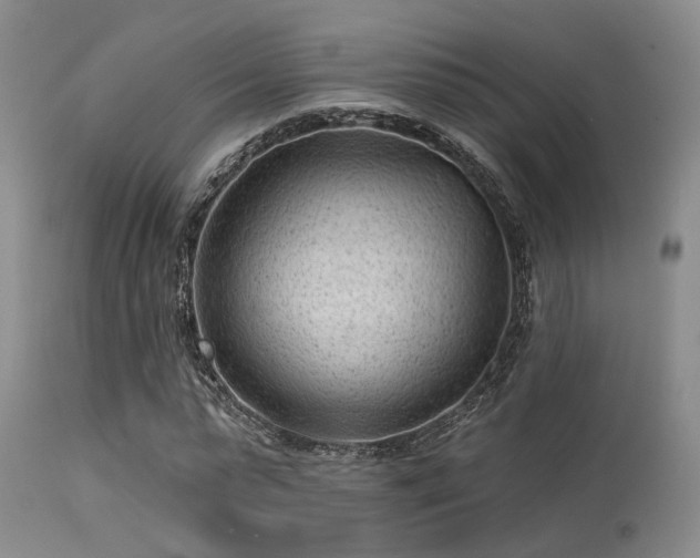 X0000113610775200909251141