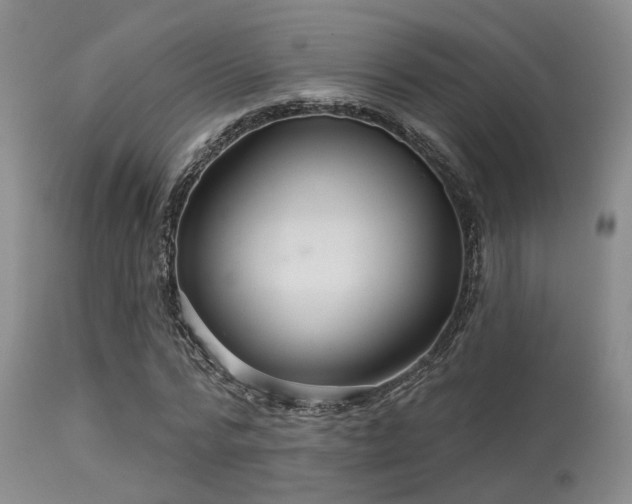 X0000113610776200909251141