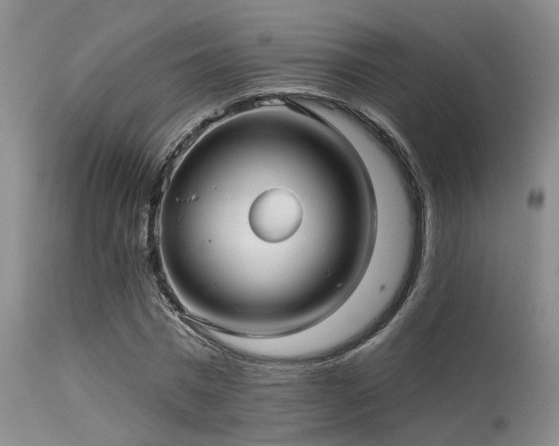 X0000113610777200909251141