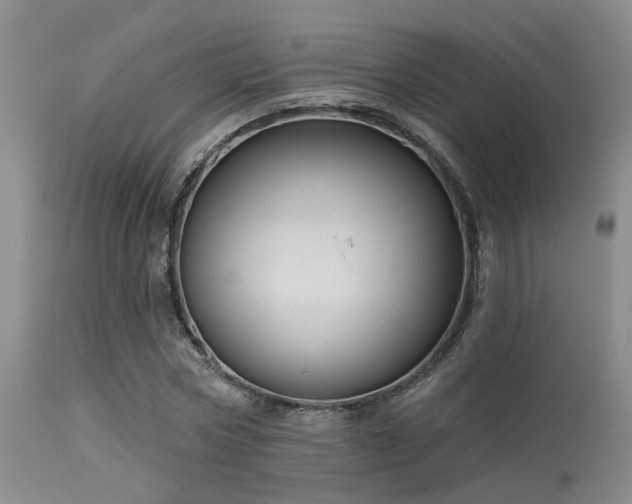 X0000113610778200909251141