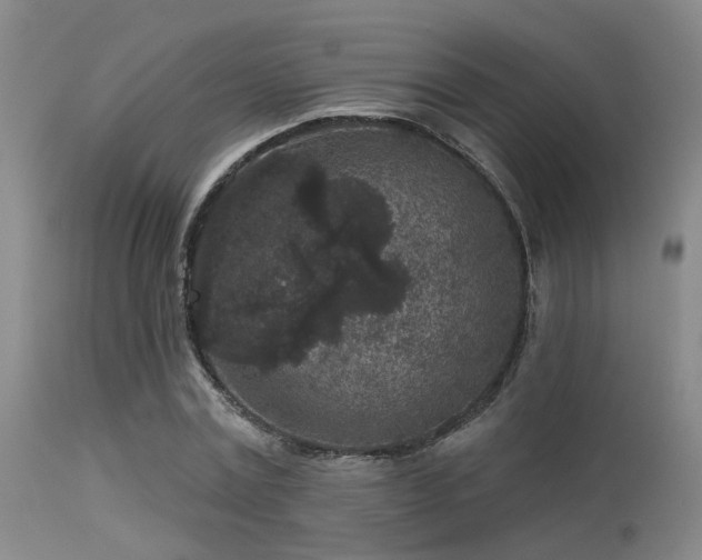 X0000113610779200909251141