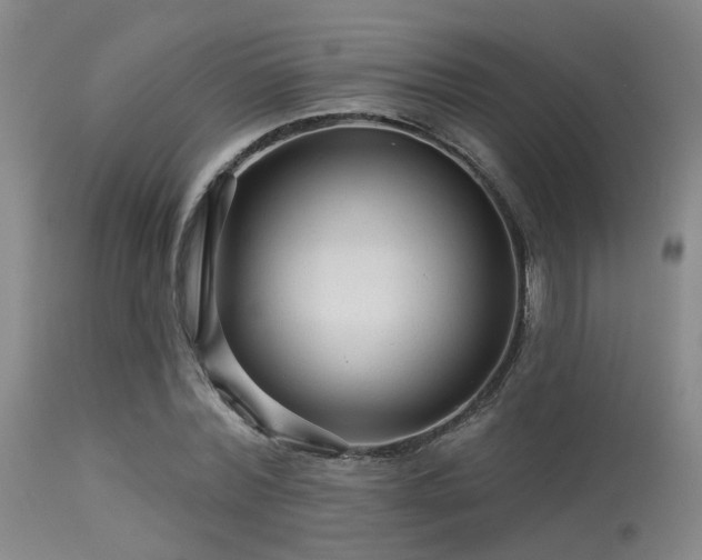 X0000113610780200909251141